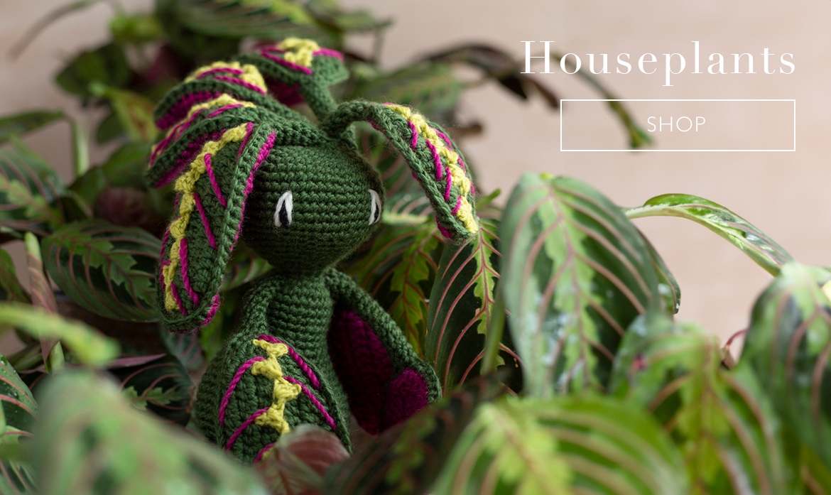 toft houseplants crochet patterns maranta fascinator